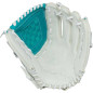 Gant de Softball Rawlings Shut Out Series