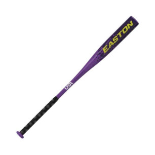 Easton Havoc baseball bat (-10)