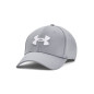 Gorra Under Armour Blitzing Gris