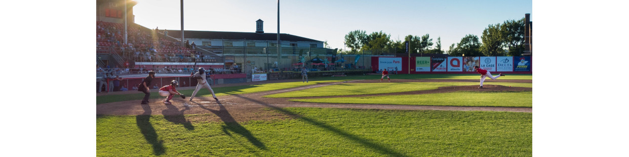 Nutrition Sportive pour Baseball