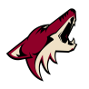 Arizona Coyotes