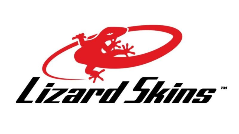 Lizards skin
